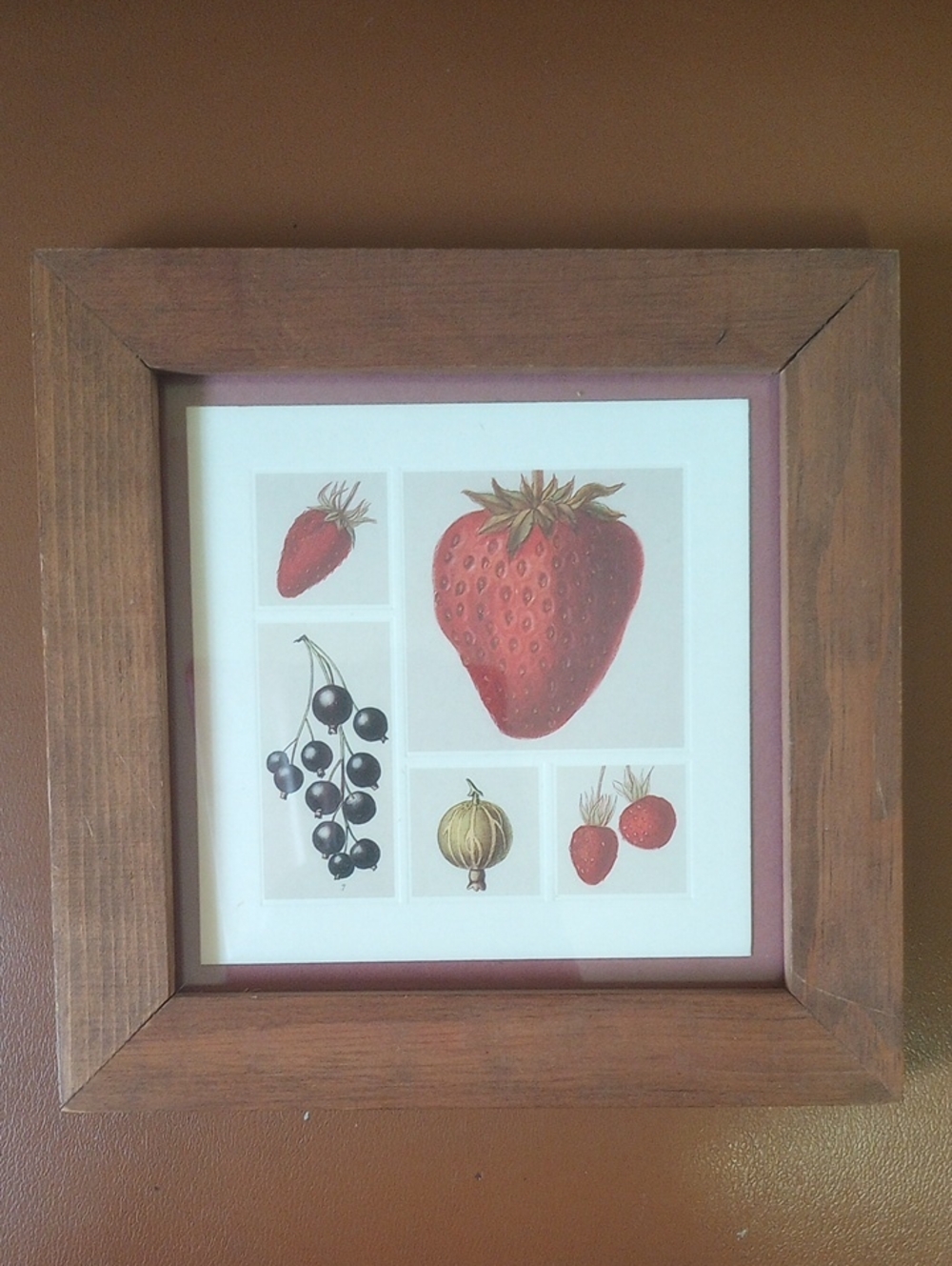 Vintage Strawberry Kitchen Art in Square Brown Wood Frame w/ Glass